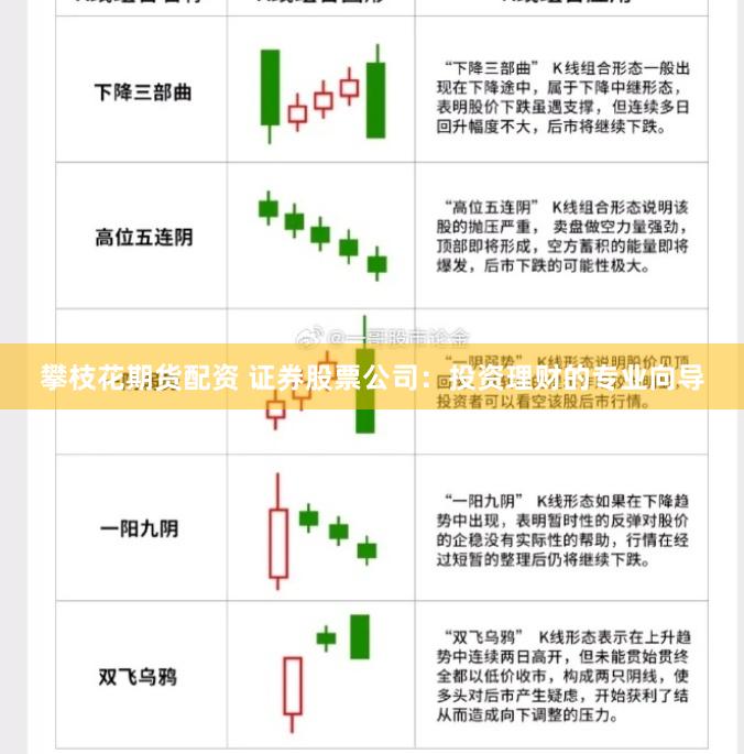 攀枝花期货配资 证券股票公司：投资理财的专业向导