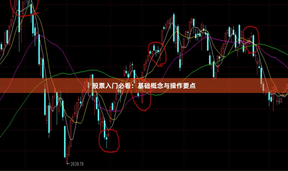 股票入门必看：基础概念与操作要点